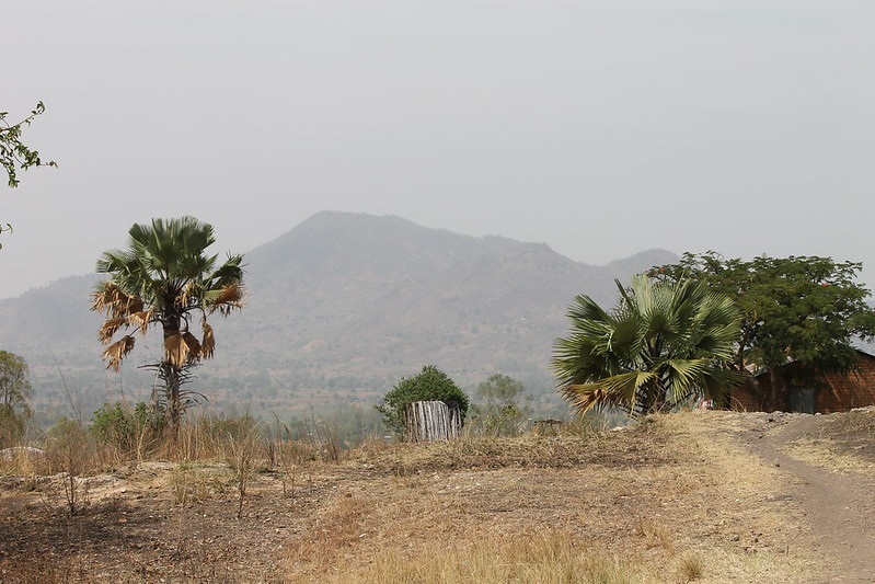 Ugandan landscape showing a dirt road, trees, house and mountain in the distance