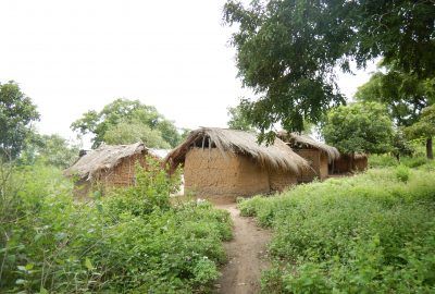 Dirt road leading to huts within green foliage