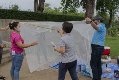 Staff of Inspection Committee from the Department of Disease Control (DDC), Ministry of Public Health (MOPH), Thailand measuring the Long-Lasting Insecticidal Net (LLIN) to make an assessment of the quality standard. USAID/PMI and Global Fund provided LLINs to the Royal Thai Government in an effort to eliminate malaria.