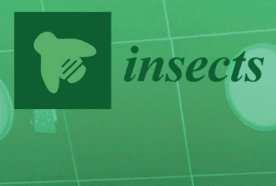 The Insects journal logo of a the outline of a basic fly with its head facing the top left corner in light green, surrounded by a dark green box and the text 'insects' in dark green to the right of the box