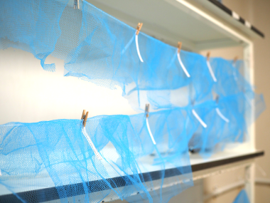 Two rows of bright blue insecticide treated net samples hanging off of two lines and attached with small wooden pegs along with a small strip of white paper with a label.
