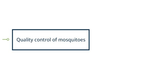 Diagram of quality control of mosquitoes categories