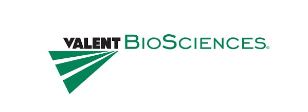 Text 'VALIENT BIOSCIENCES' written across the width of the image. 'VALIENT' is in black with three green triangles with the point originating from under the right hand corner of the word, extend diagonally to the left of the image. 'BioSciences' is written in green.