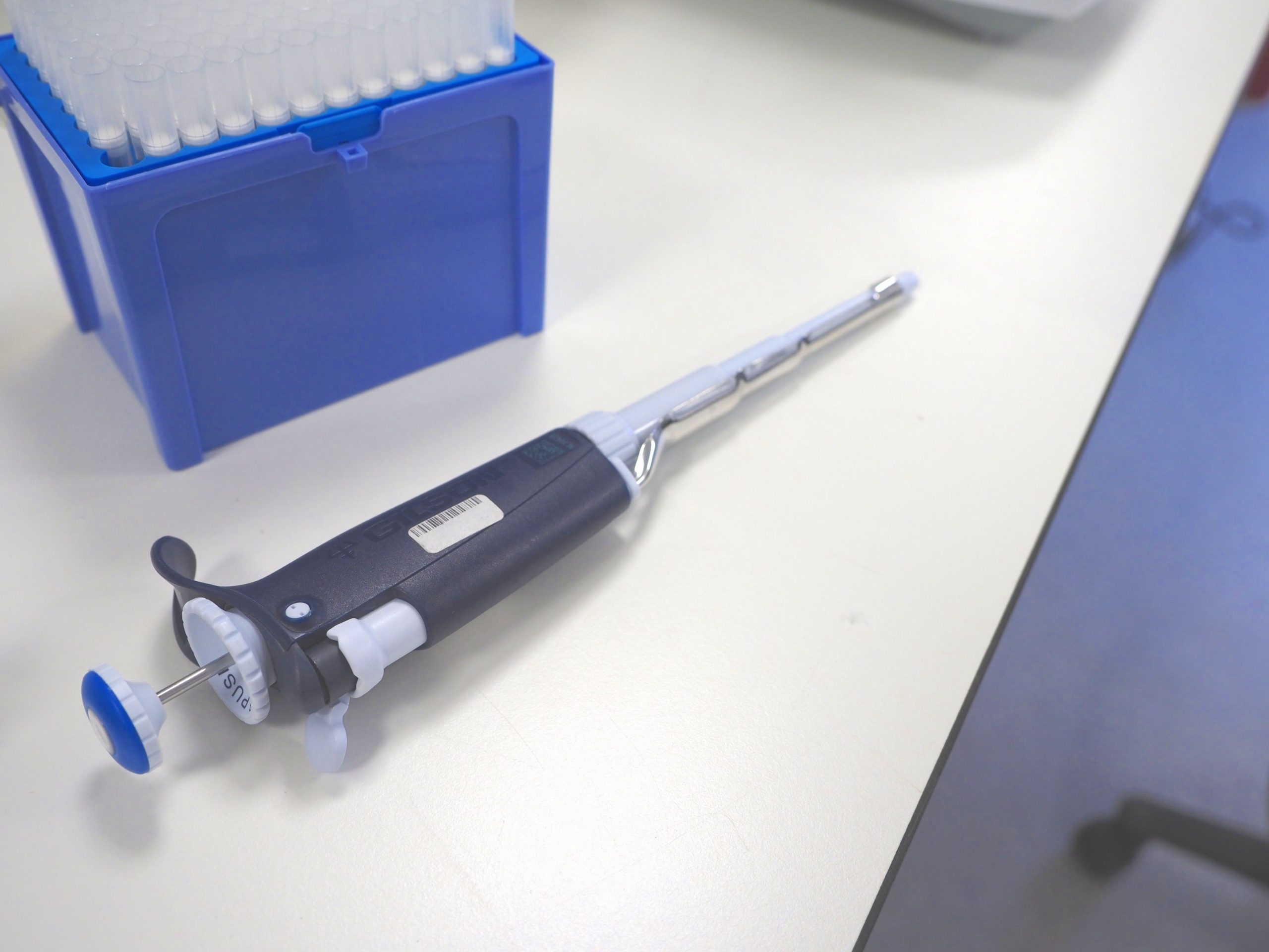 Bright blue open box of pipette tips in upper left corner with a dark blue and white pipette diagonally in front the box on a white lab bench counter.