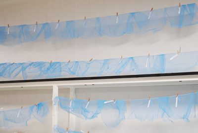 25 small rectangles of blue net material hung side over white line over three rows. Each is held in place by a small wooden clip and labelled with a small rectangle of white paper.