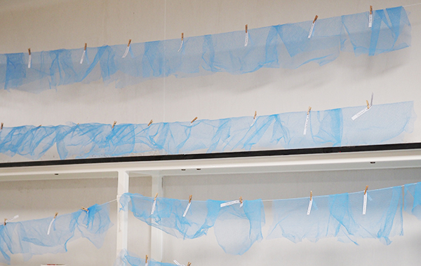 25 small rectangles of blue net material hung side over white line over three rows. Each is held in place by a small wooden clip and labelled with a small rectangle of white paper.